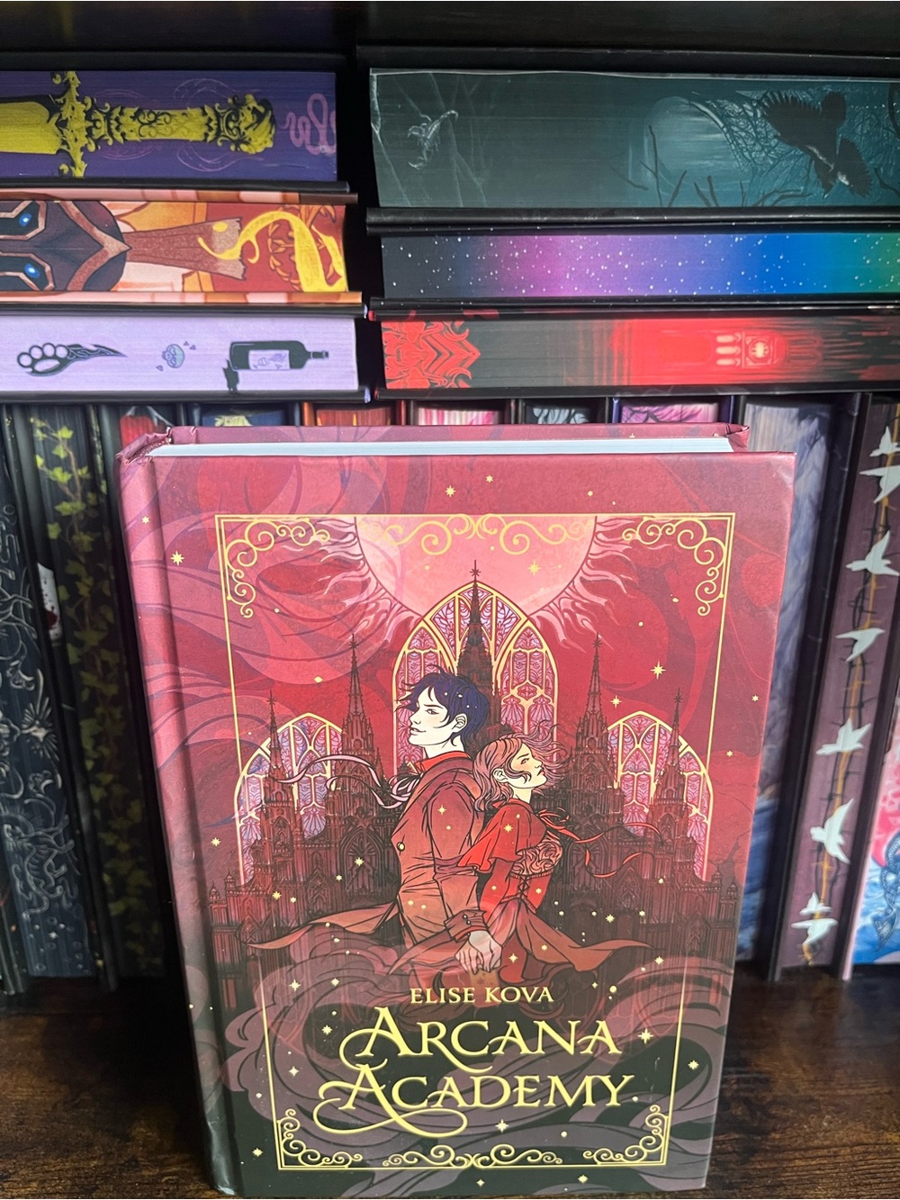 Arcana Academy by Elise Kova
Hardcover Probably Smut
